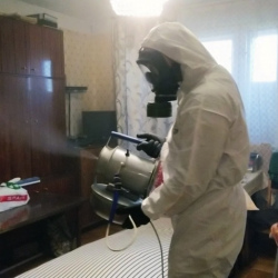Дезинфекция от клопов в Усолье
