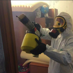 Уничтожение клопов в квартире. Усолье